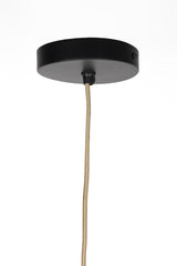 WLL-10582.01#rawq1:4