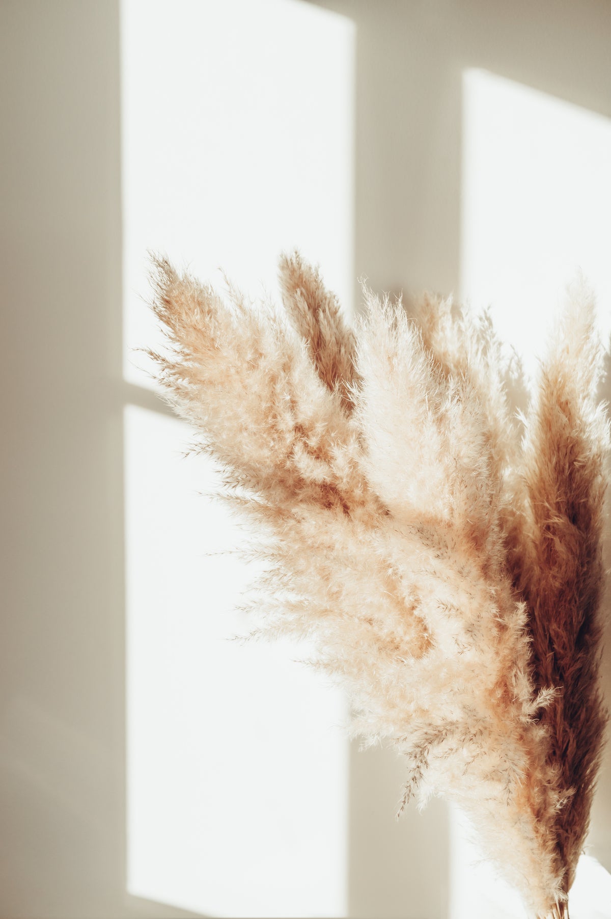 Poster Serenity aus héichwäertegem Pabeier