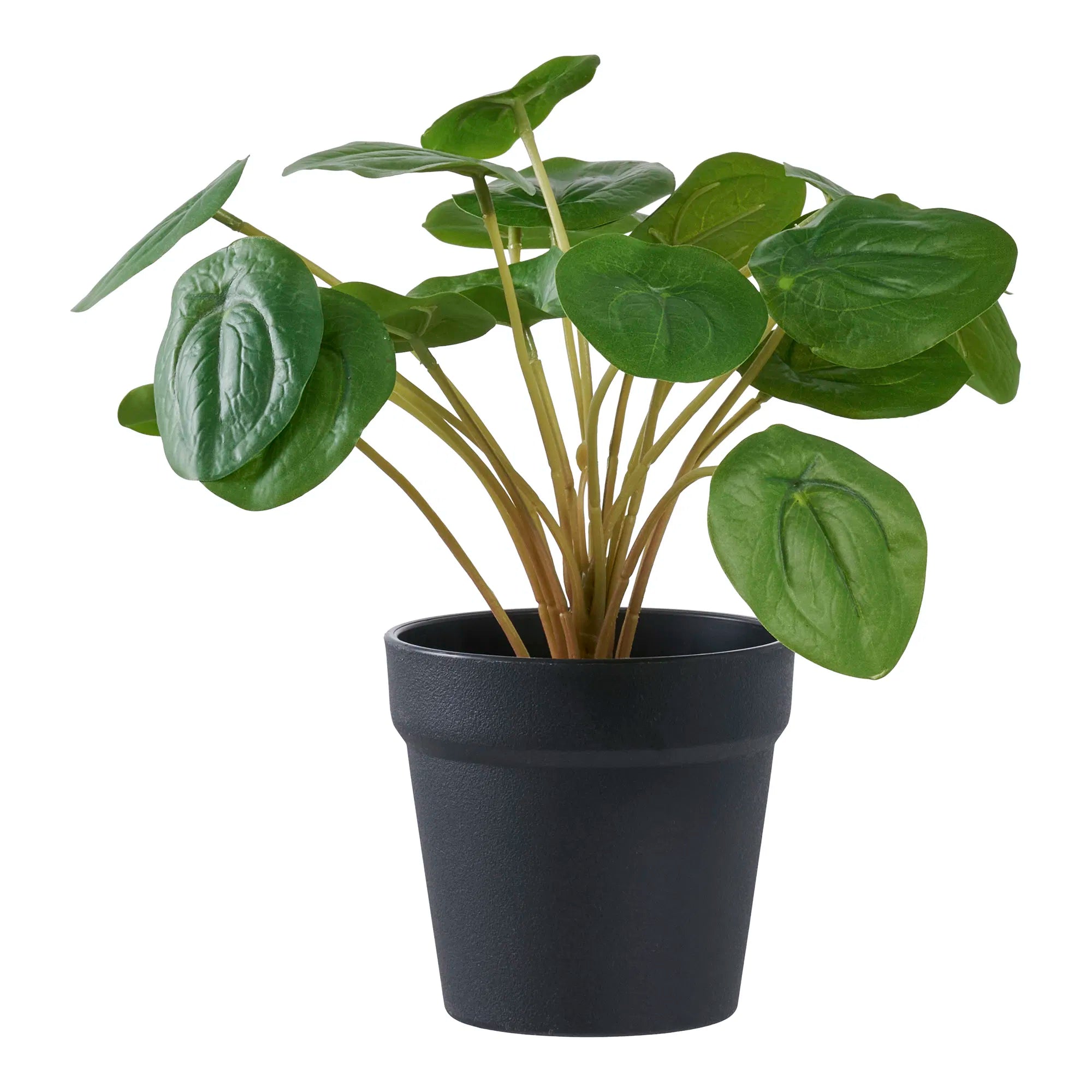 Kënschtlech Planz Pelia – 28 cm dekorativ Frëschheet am Mini-Format