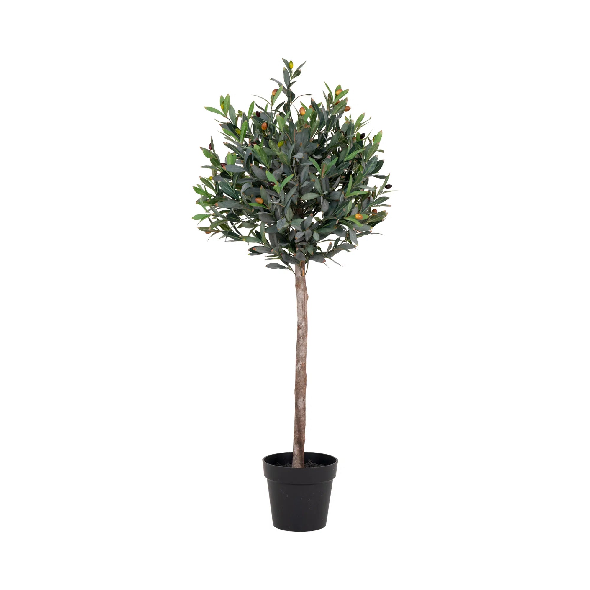 Kënschtleche Olivenbam – 120 cm mediterran Eleganz fir bannen & baussen