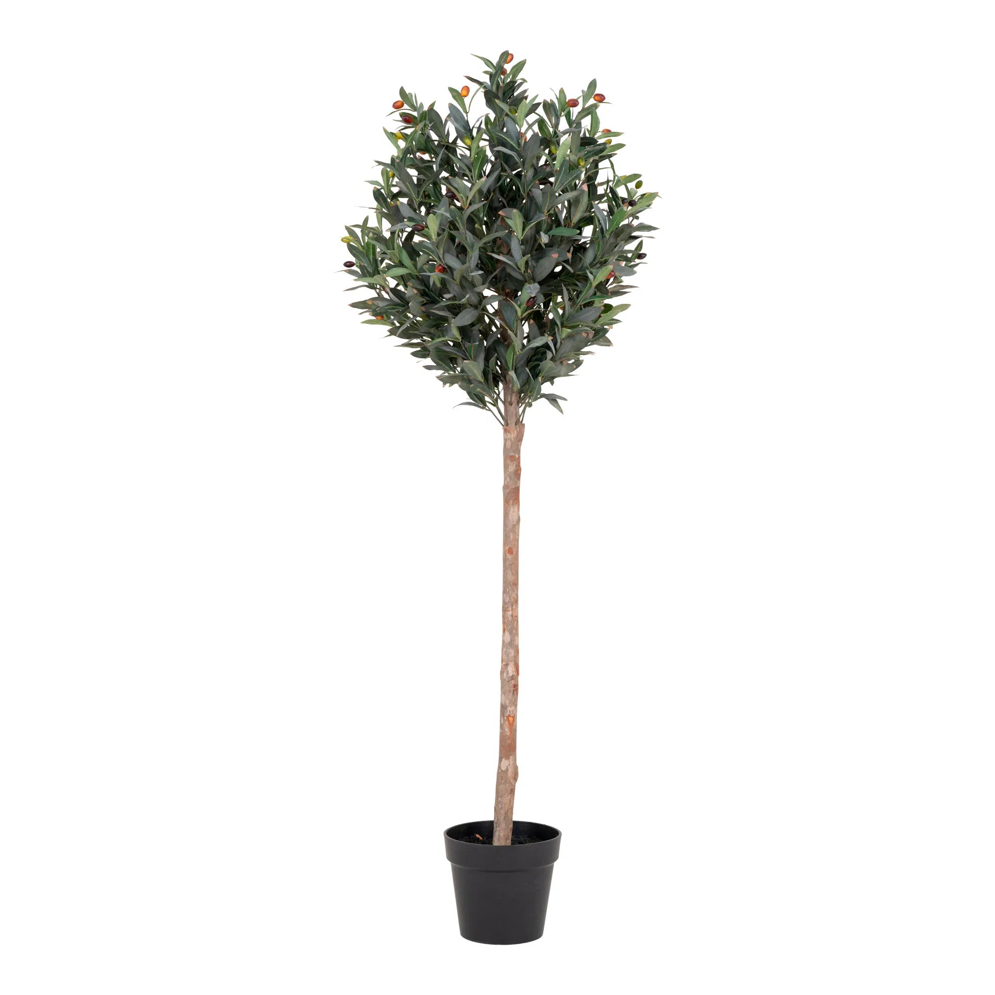 Kënschtleche Olivenbam – 150 cm mediterrant Highlight fir däi Doheem