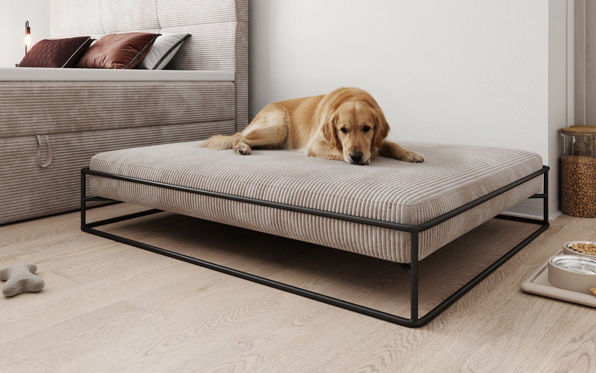 Hondebett Lumo 100x120 cm am Cord