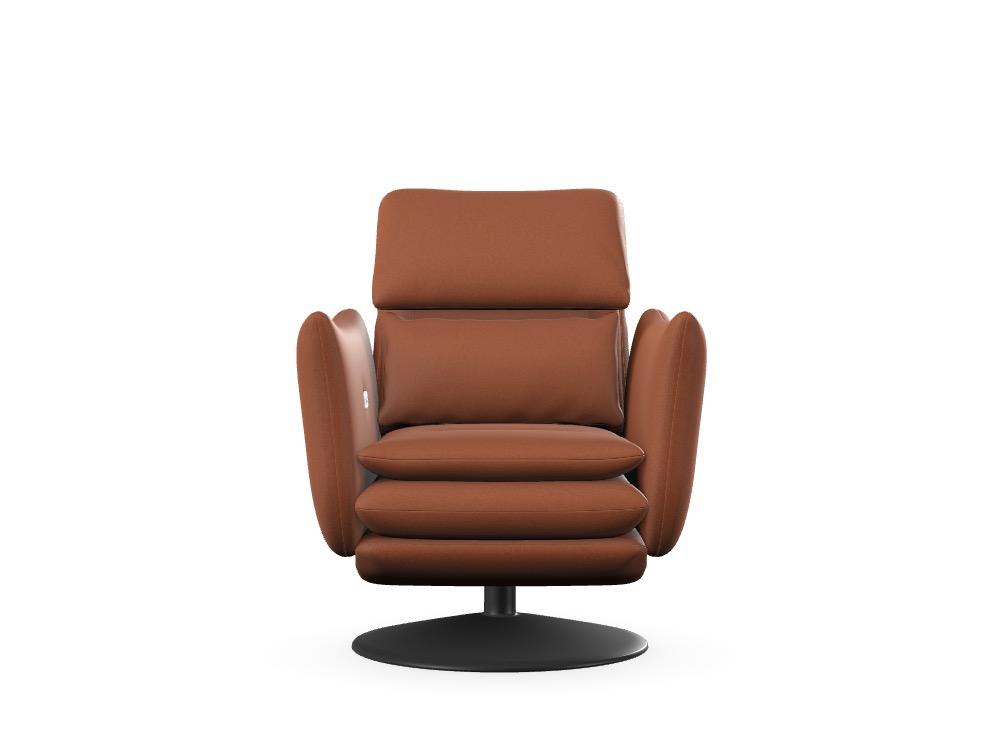 Roy Fauteuil - Deng Wonschkonfiguratioun 16BS5G