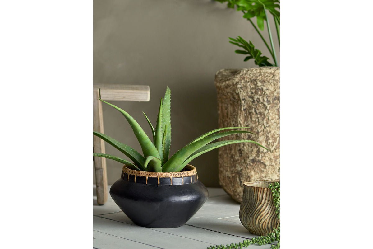 Kunstpflanze Aloeve - Höhe 61 cm