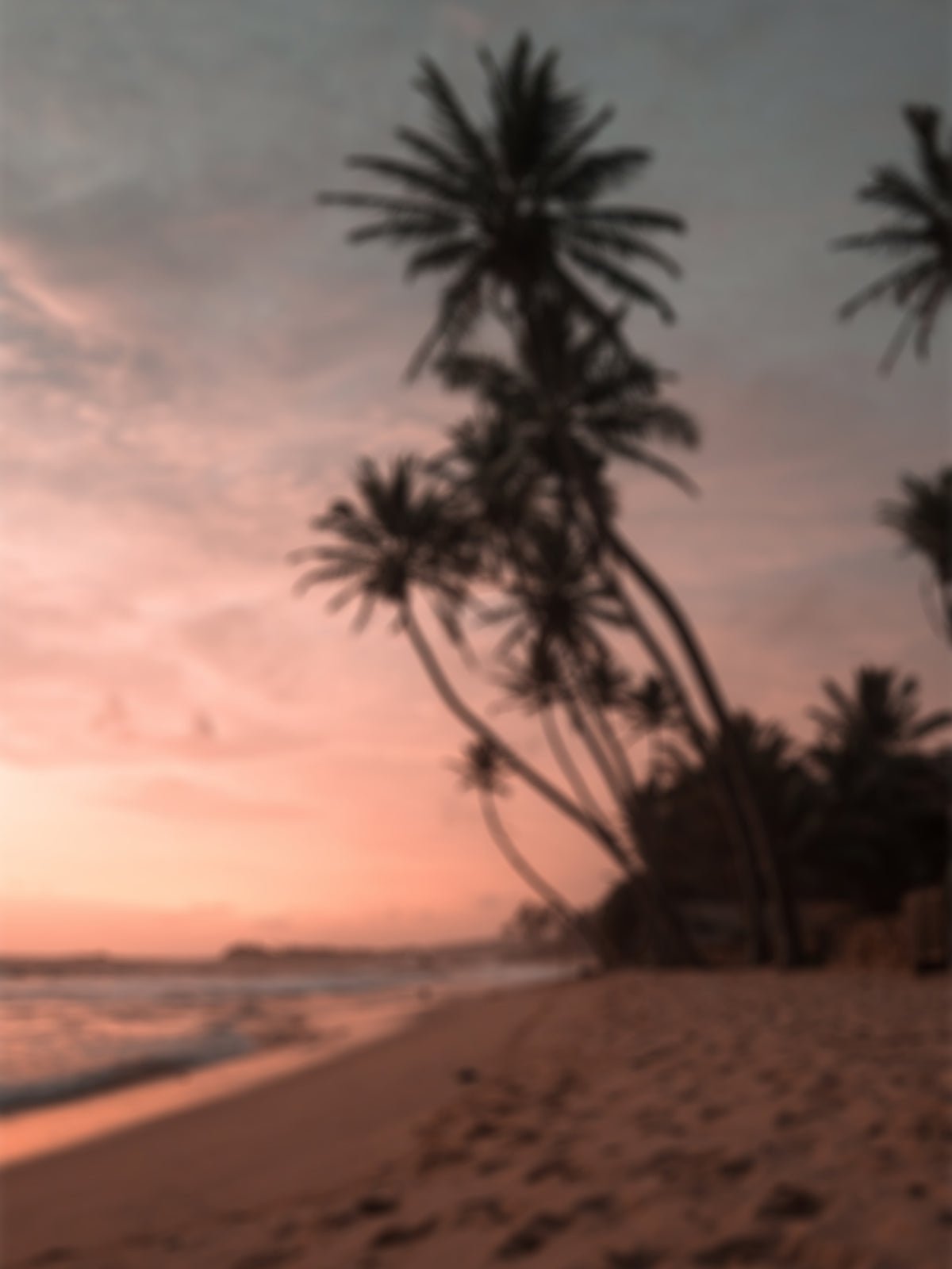 Poster Beach made of high-quality paper