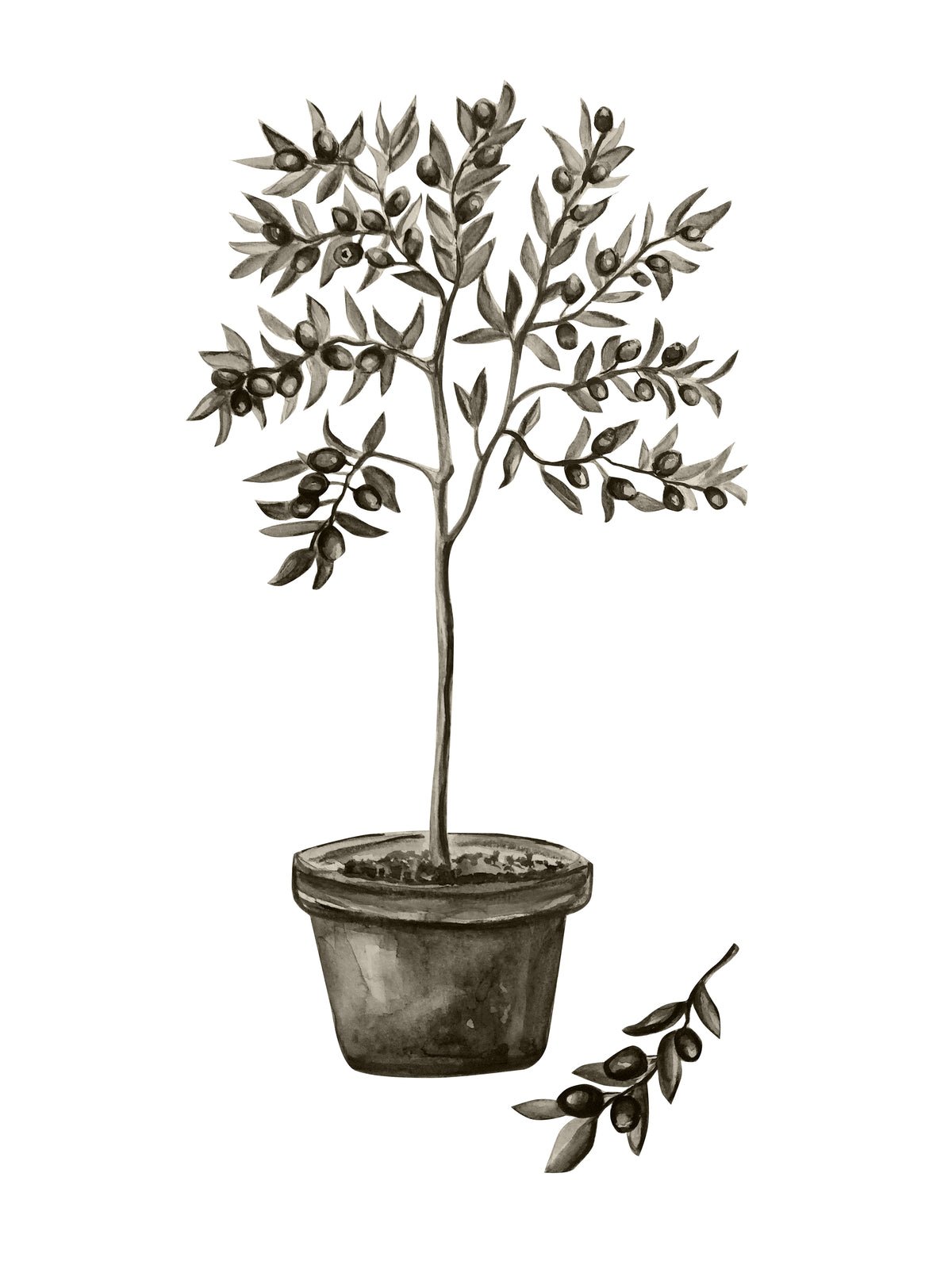 Poster Mediterranean made of high-quality paper