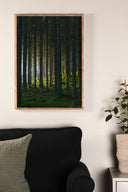 Poster Forêt-Noire en papier de haute qualité