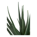 Artificial Aloe Vera Plant – 51 cm, low-maintenance classic in a modern look