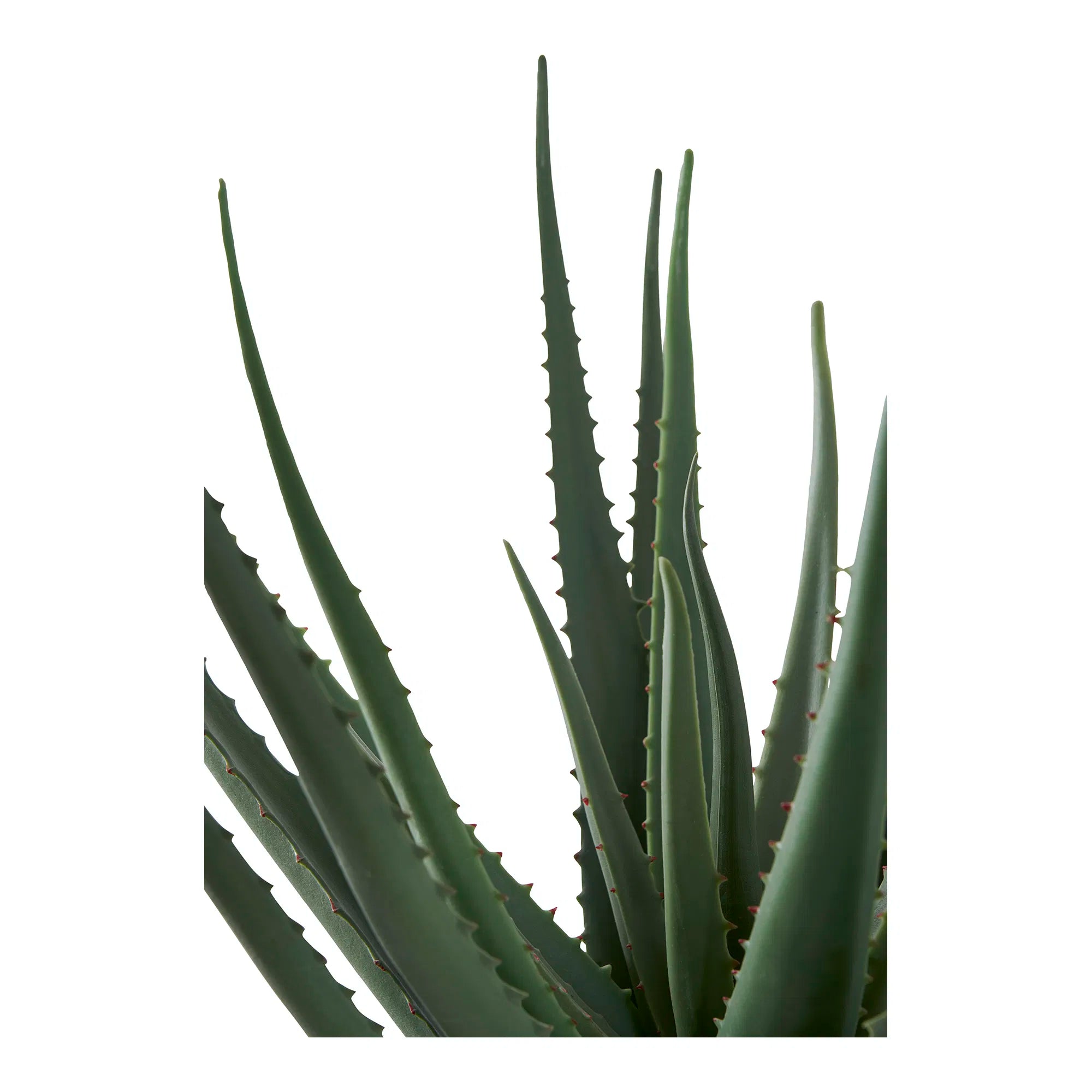 Kënschtlech Aloe Vera Planz – 51 cm ënnerhaltfräien Klassiker am moderne Look