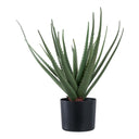 Artificial Aloe Vera Plant – 51 cm, low-maintenance classic in a modern look