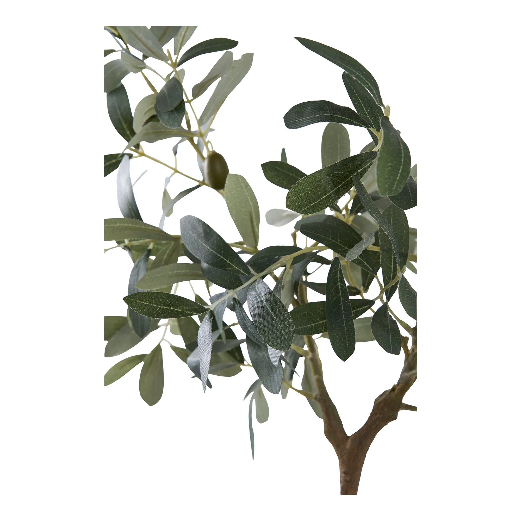 Kënschtleche Olivenbam – 61 cm mediterranen Charme fir däi Doheem