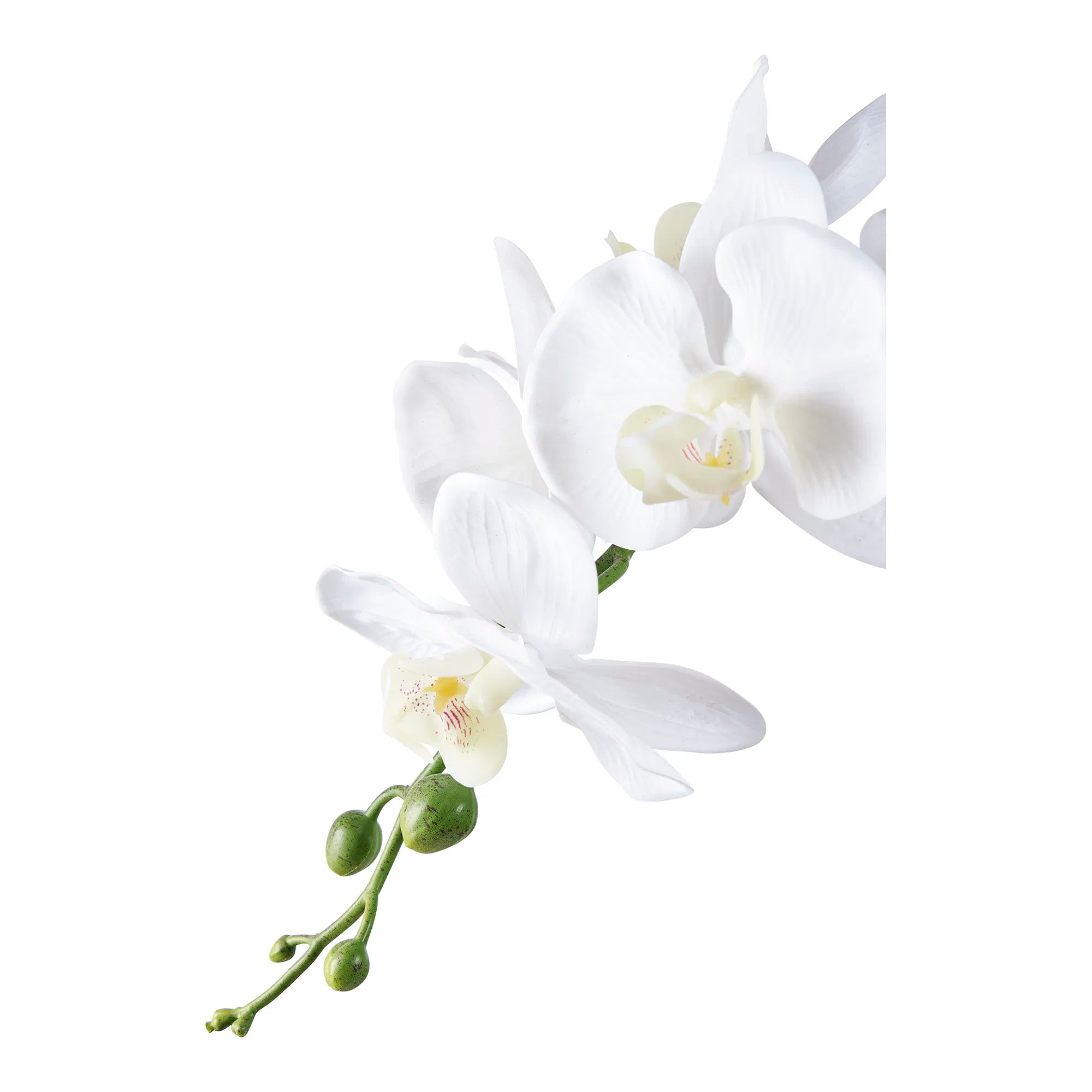 Kënschtlech Orchidee – 49 cm elegant Bléiepruecht fir stilvoll Raim