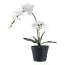 Kënschtlech Orchidee – 49 cm elegant Bléiepruecht fir stilvoll Raim