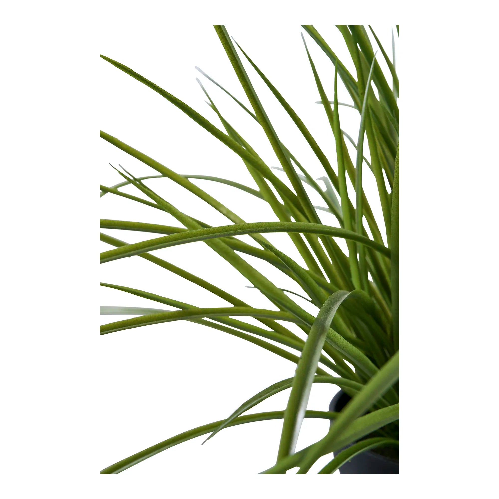 Konschtplanz Ziergras – 45 cm modern Frëschheet fir däi Doheem