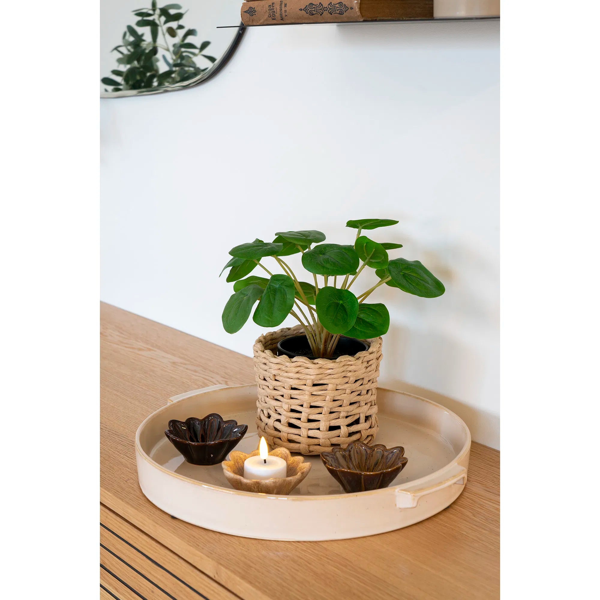 Kënschtlech Planz Pelia – 28 cm dekorativ Frëschheet am Mini-Format
