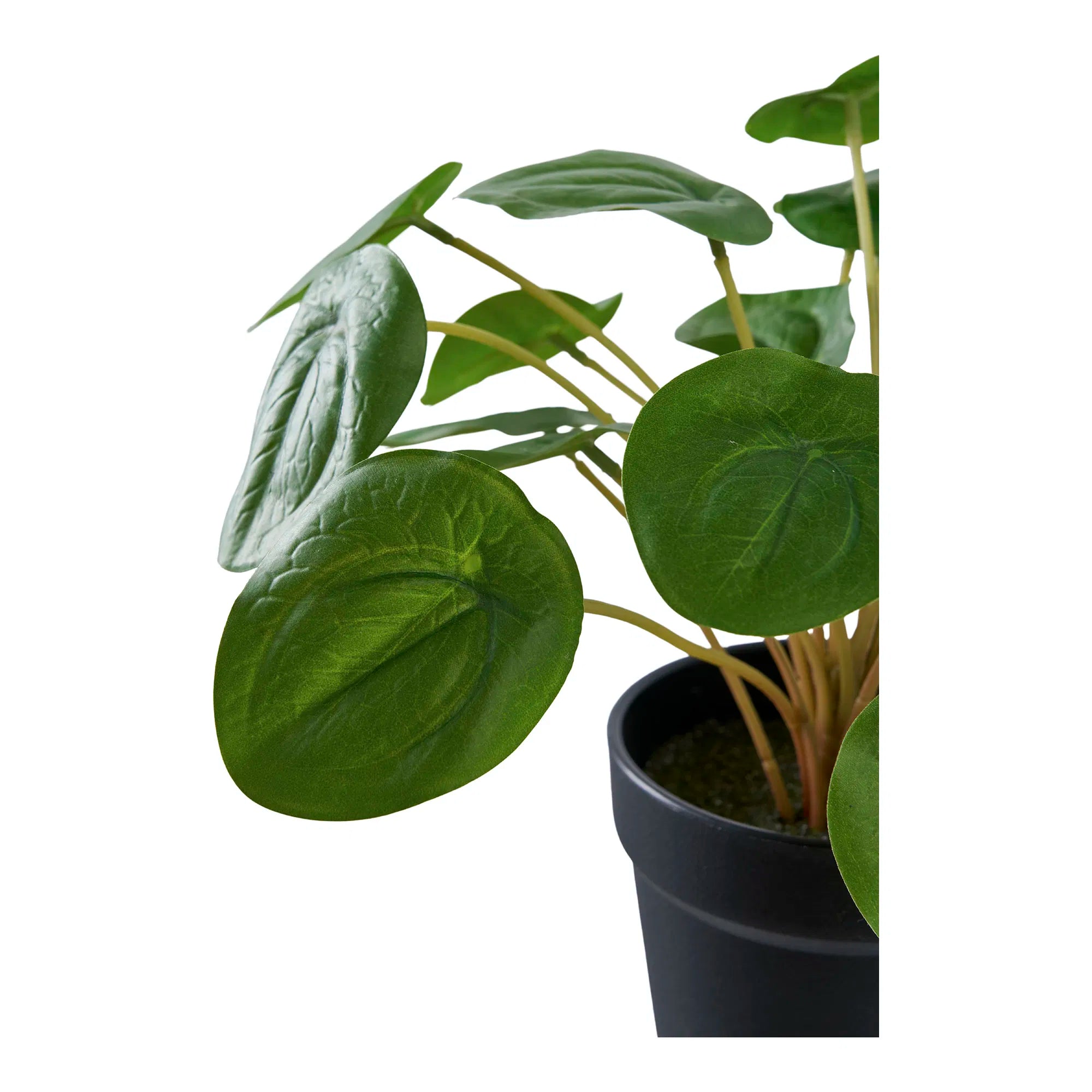 Kënschtlech Planz Pelia – 28 cm dekorativ Frëschheet am Mini-Format