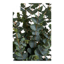 Artificial Eucalyptus Plant – 120 cm elegant foliage for your home
