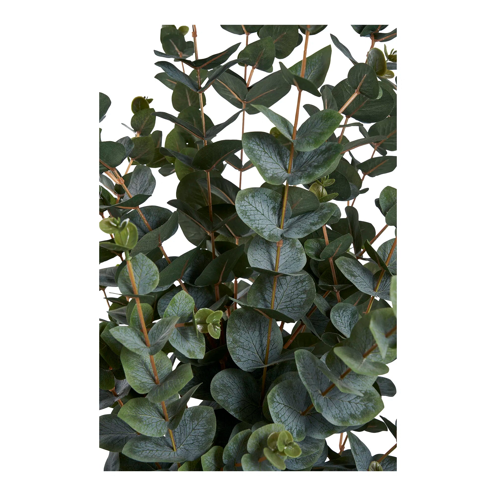 Plante artificielle d'eucalyptus – 120 cm de feuillage élégant pour votre maison
