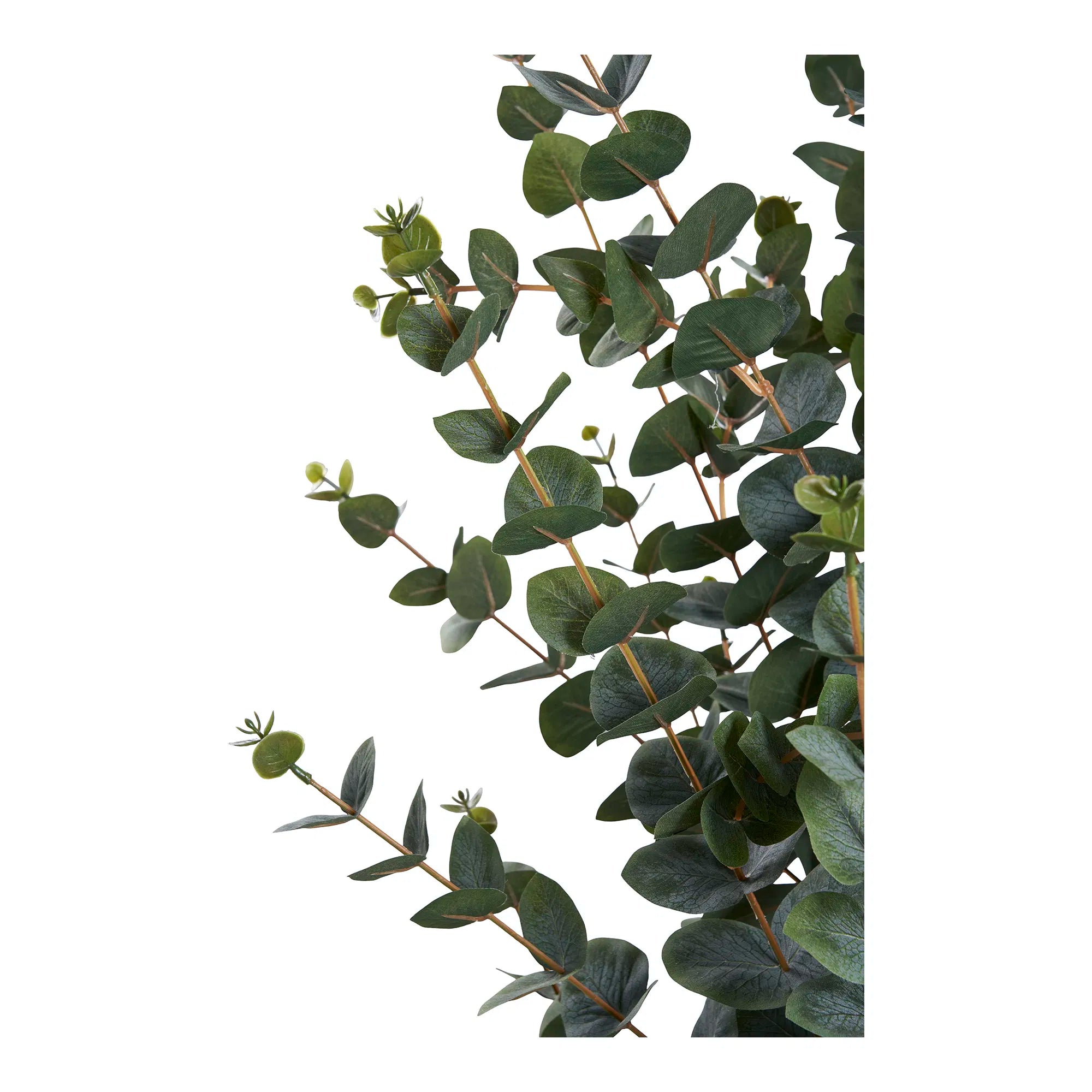 Plante artificielle d'eucalyptus – 120 cm de feuillage élégant pour votre maison