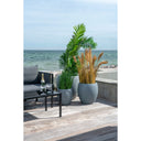 Artificial Areca Palm – 175 cm Tropical Flair for Stylish Spaces