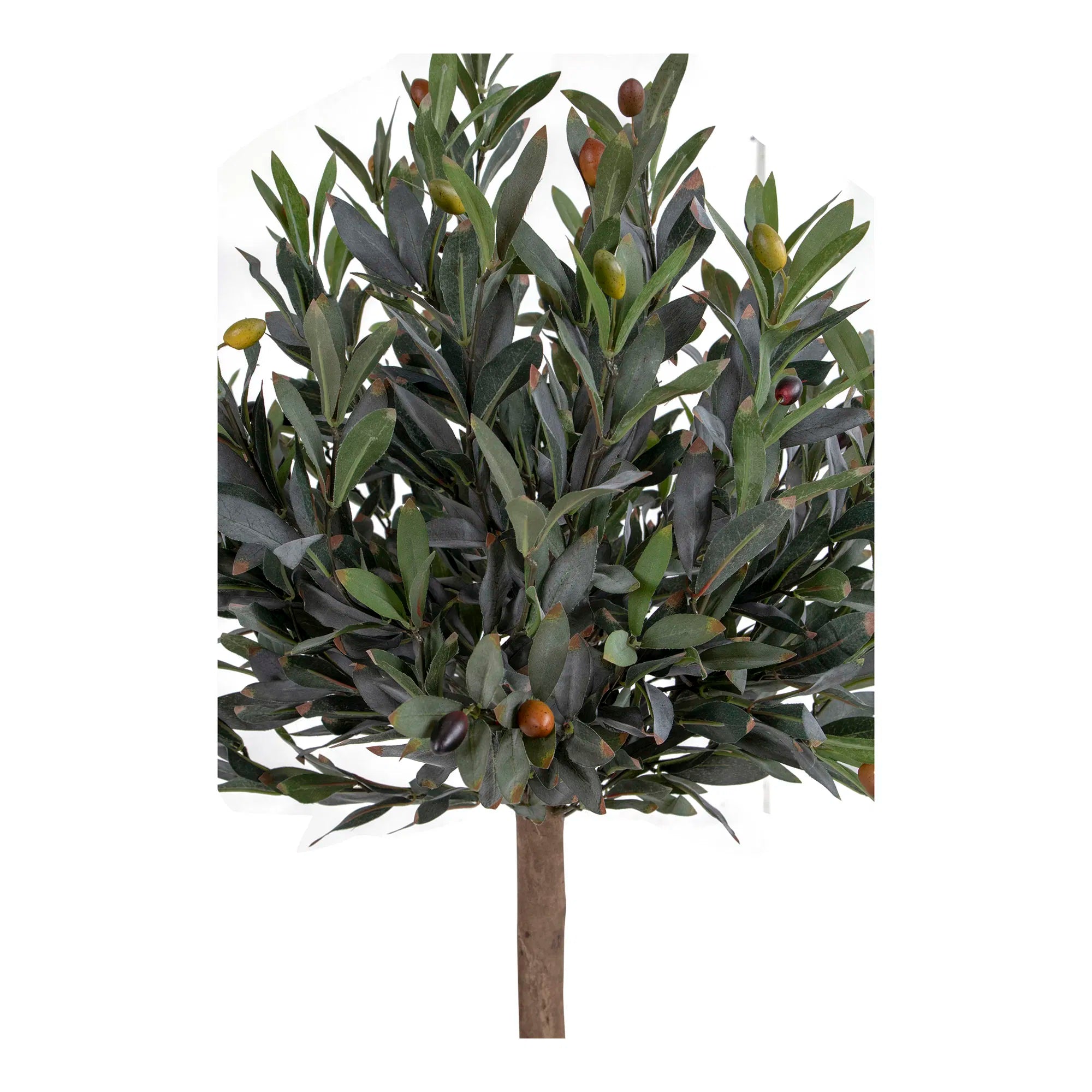 Kënschtleche Olivenbam – 120 cm mediterran Eleganz fir bannen & baussen