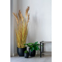 Artificial Sorghum Grass Plant – 110 cm Natural Look with Stylish Flair