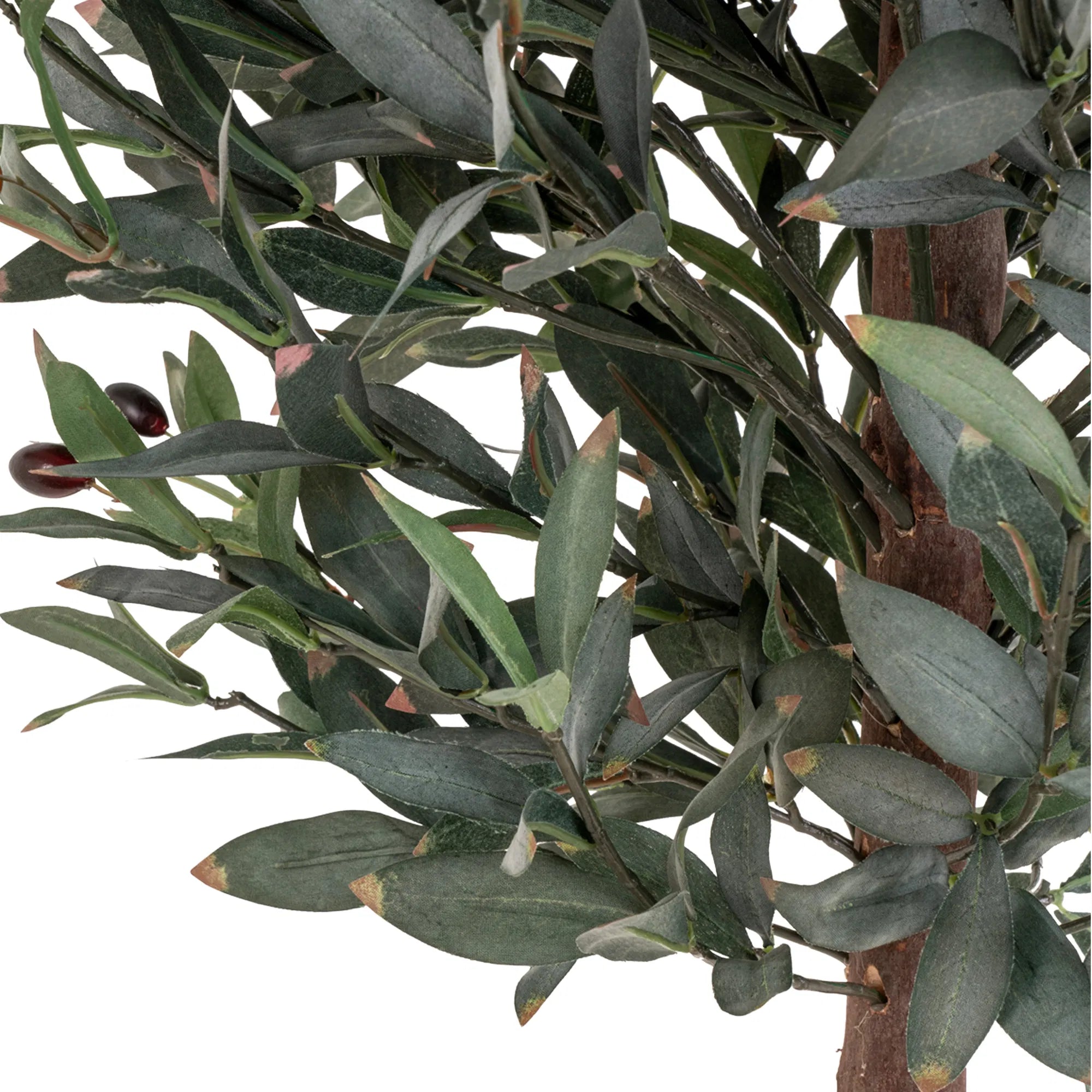 Kënschtleche Olivenbam – 150 cm mediterrant Highlight fir däi Doheem