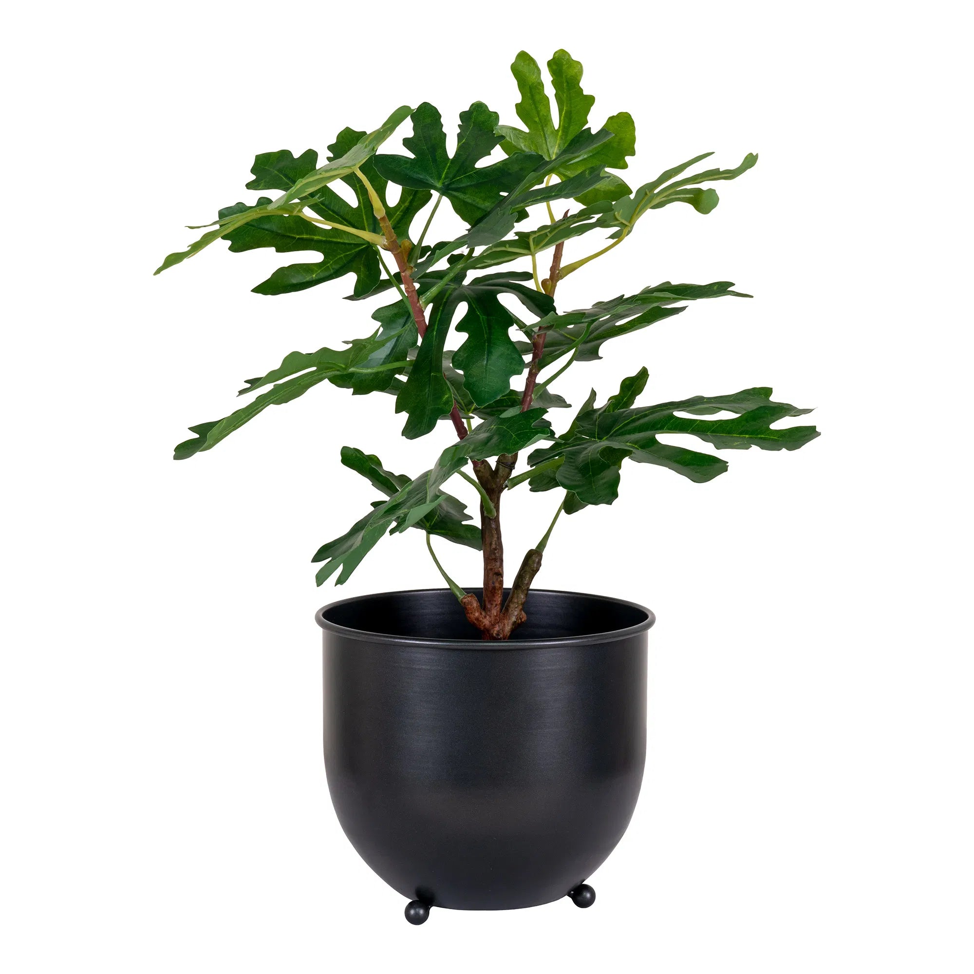 Kënschtleche Feigebeem – 60 cm mediterranen Charme fir däi Doheem