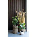 Kënschtleche Feigebeem – 60 cm mediterranen Charme fir däi Doheem