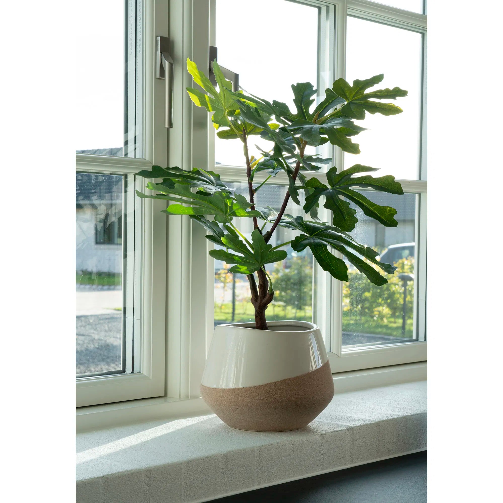 Kënschtleche Feigebeem – 60 cm mediterranen Charme fir däi Doheem