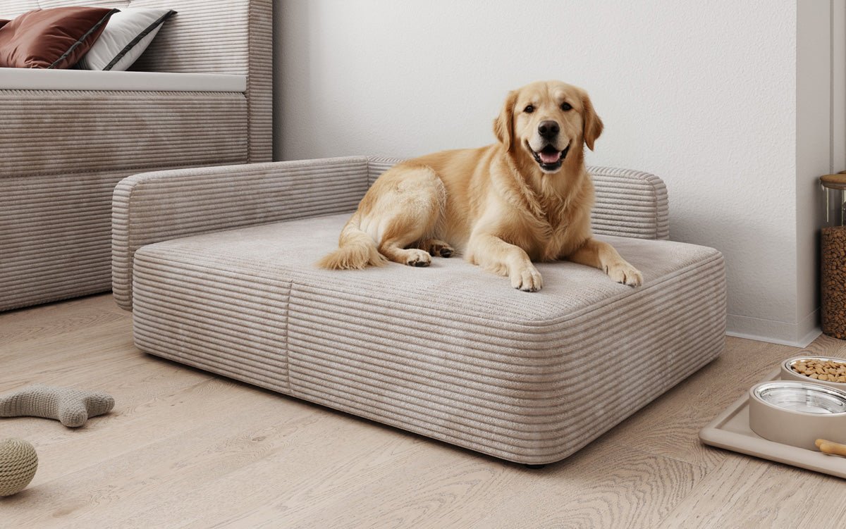 Lit pour chien BelloCouch 80 × 100 cm en Côtelé