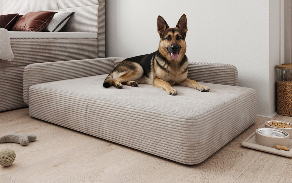 Dog bed BelloCouch 100 × 120 cm in Corduroy