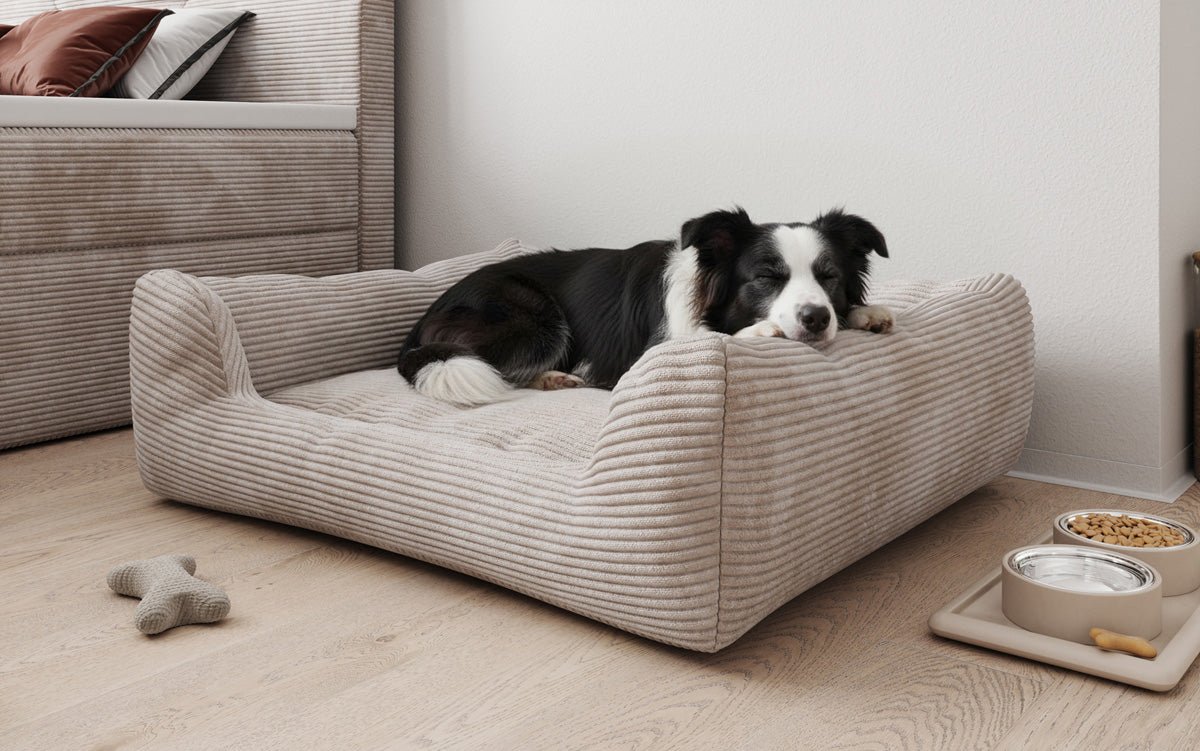 Hondbett Cosmo 120 × 80 cm am Cord