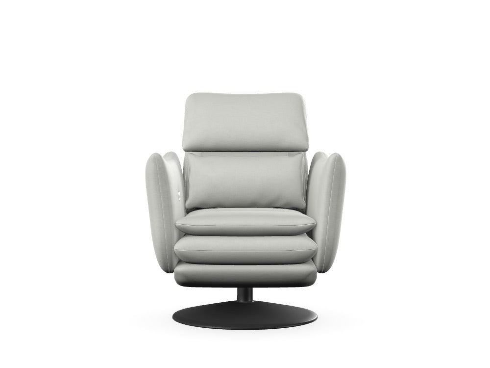 Roy Fauteuil - Deng Wonschkonfiguratioun JYBQY9