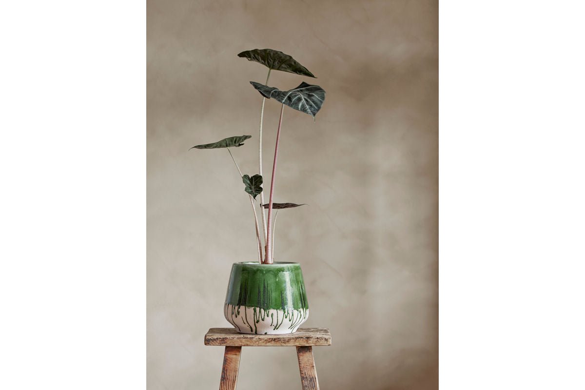 Flower Pot Avino – Reactive Crackle Glaze in Green